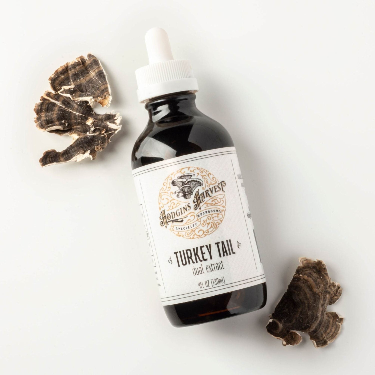 Turkey Tail Dual Extract Tincture - My American Goods
