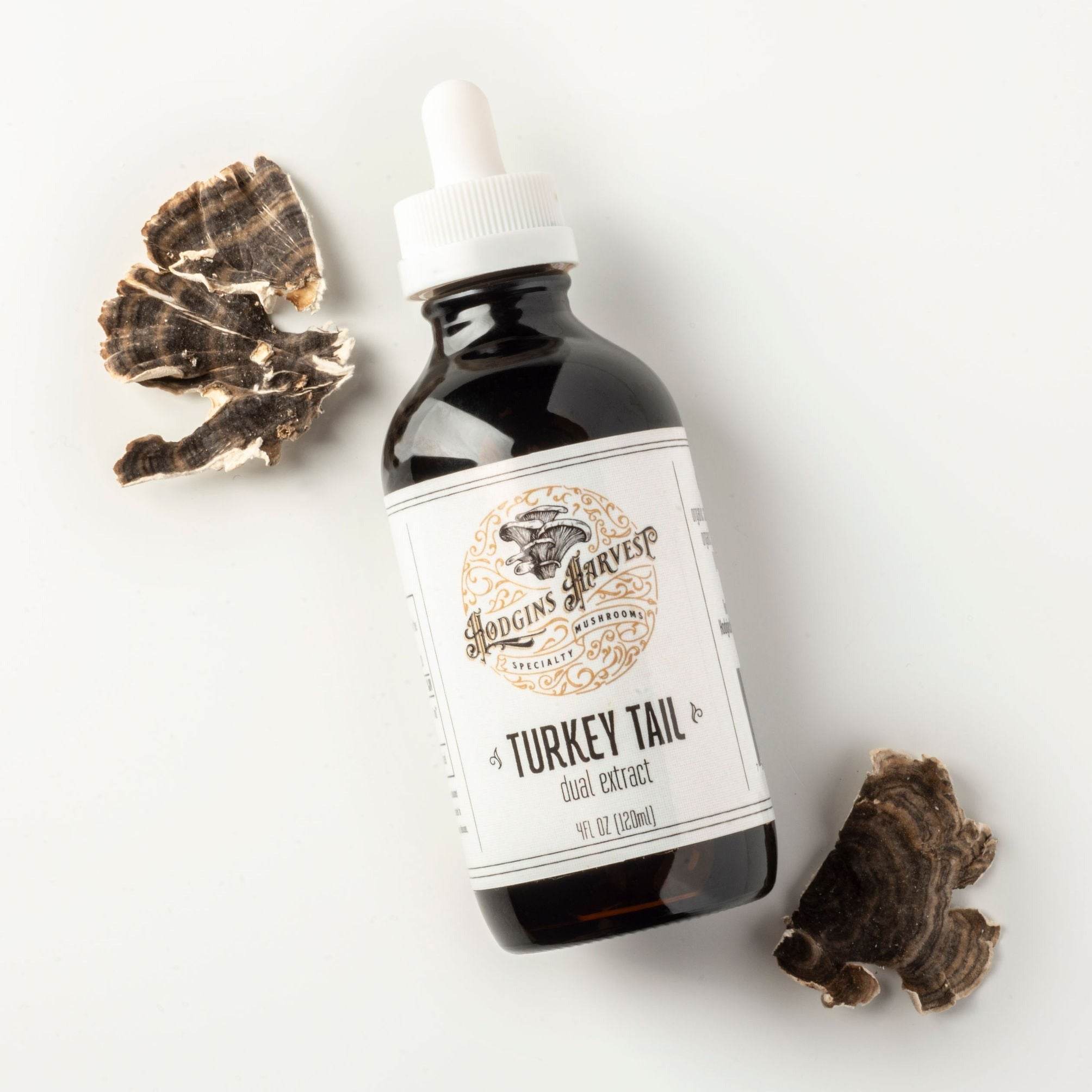 Turkey Tail Dual Extract Tincture - My American Goods