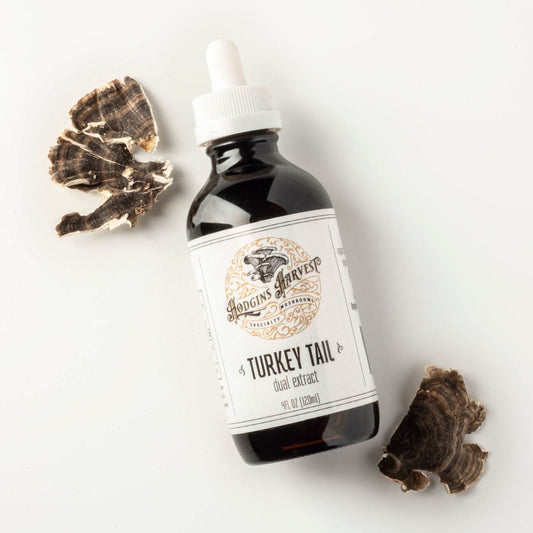 Turkey Tail Dual Extract Tincture - My American Goods