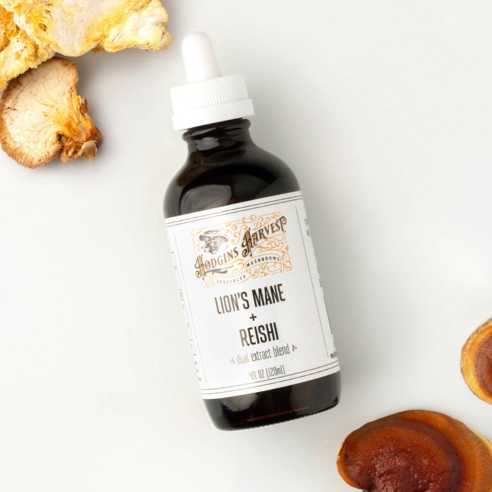 Lion's Mane + Reishi Dual Extract Tincture - My American Goods