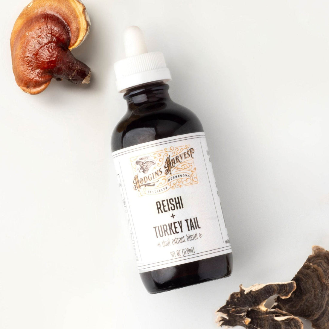 Reishi + Turkey Tail Dual Extract Tincture - My American Goods