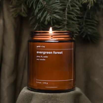 evergreen forest