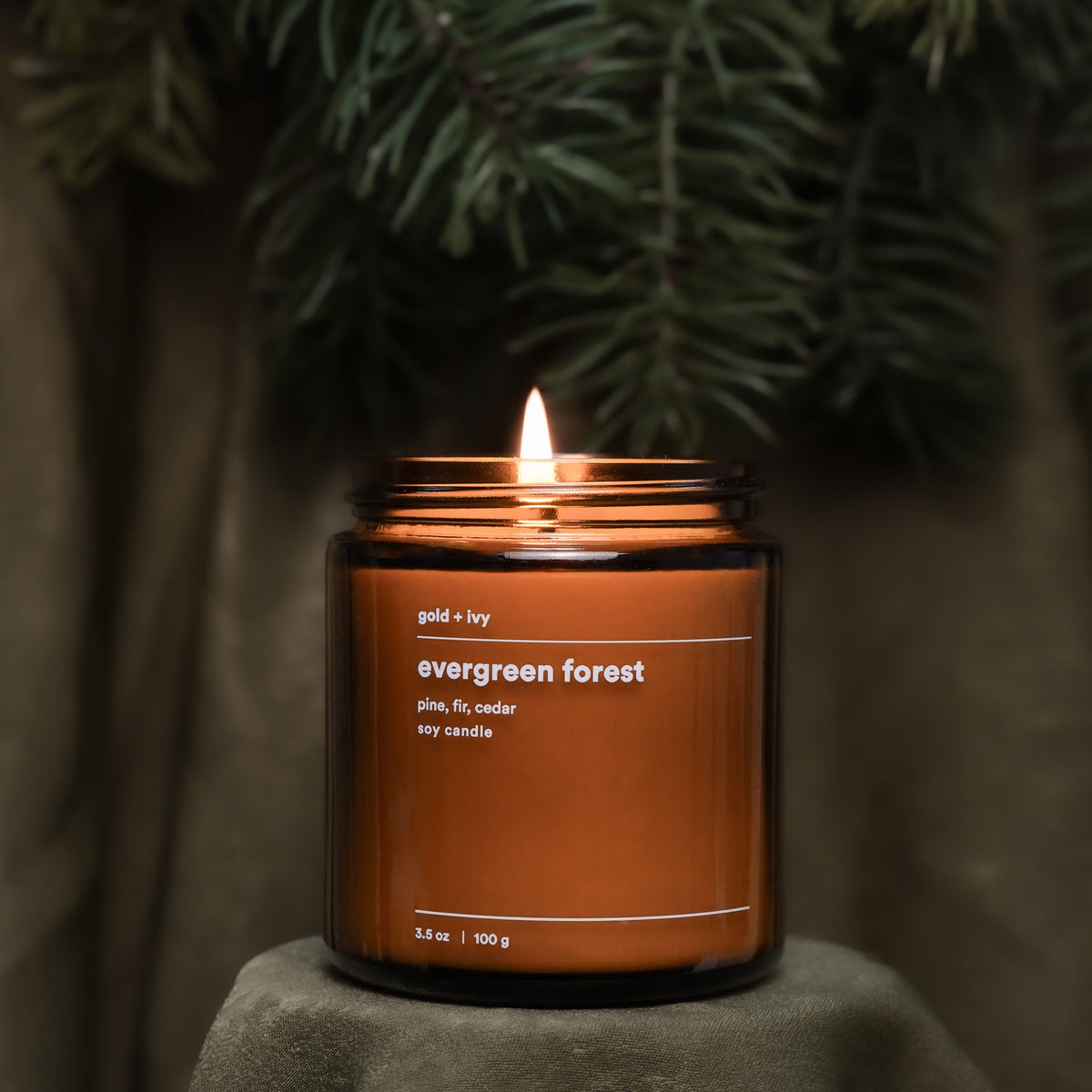 evergreen forest