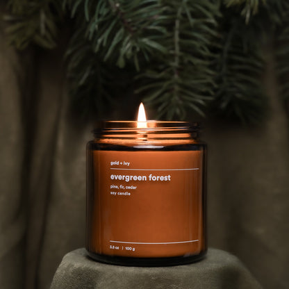 evergreen forest