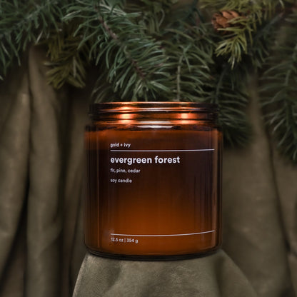 evergreen forest