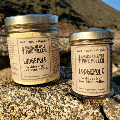 American River Pine Pollen