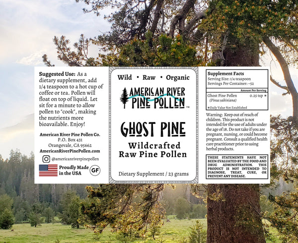 Ghost Pine Pollen - Raw and Wild-Harvested - My American Goods