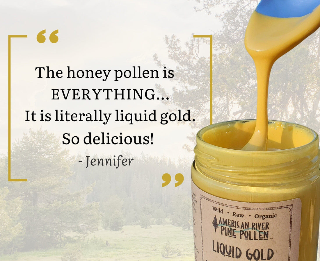 AmericanRiverPinePollen Liquid Gold -  Wildcrafted Raw Pine Pollen and Honey - Traditional Blend with Pine Synergy