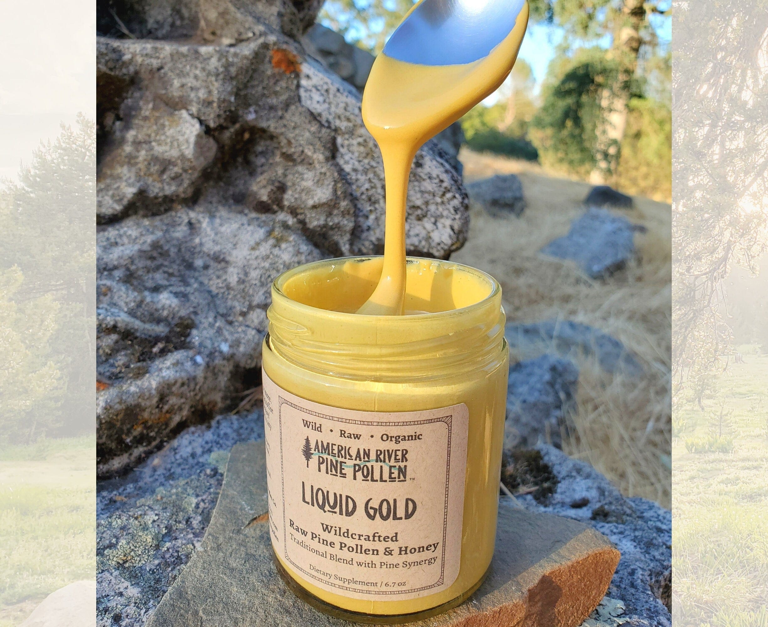 AmericanRiverPinePollen Liquid Gold -  Wildcrafted Raw Pine Pollen and Honey - Traditional Blend with Pine Synergy