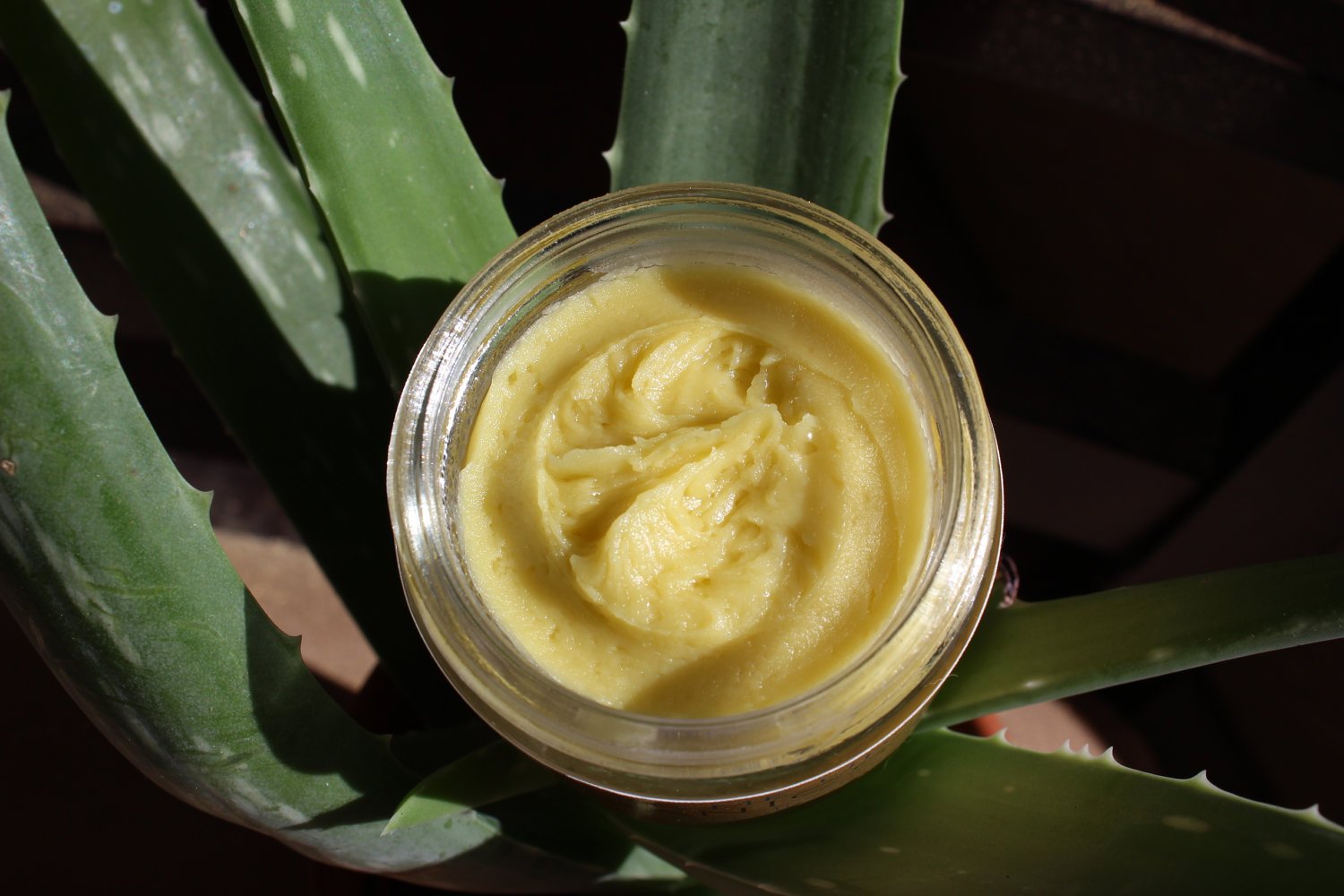 Green Tea Anti-Aging Night Cream