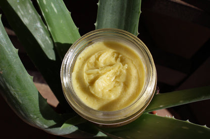 Green Tea Anti-Aging Night Cream