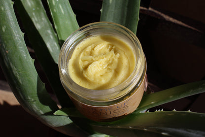Green Tea Anti-Aging Night Cream