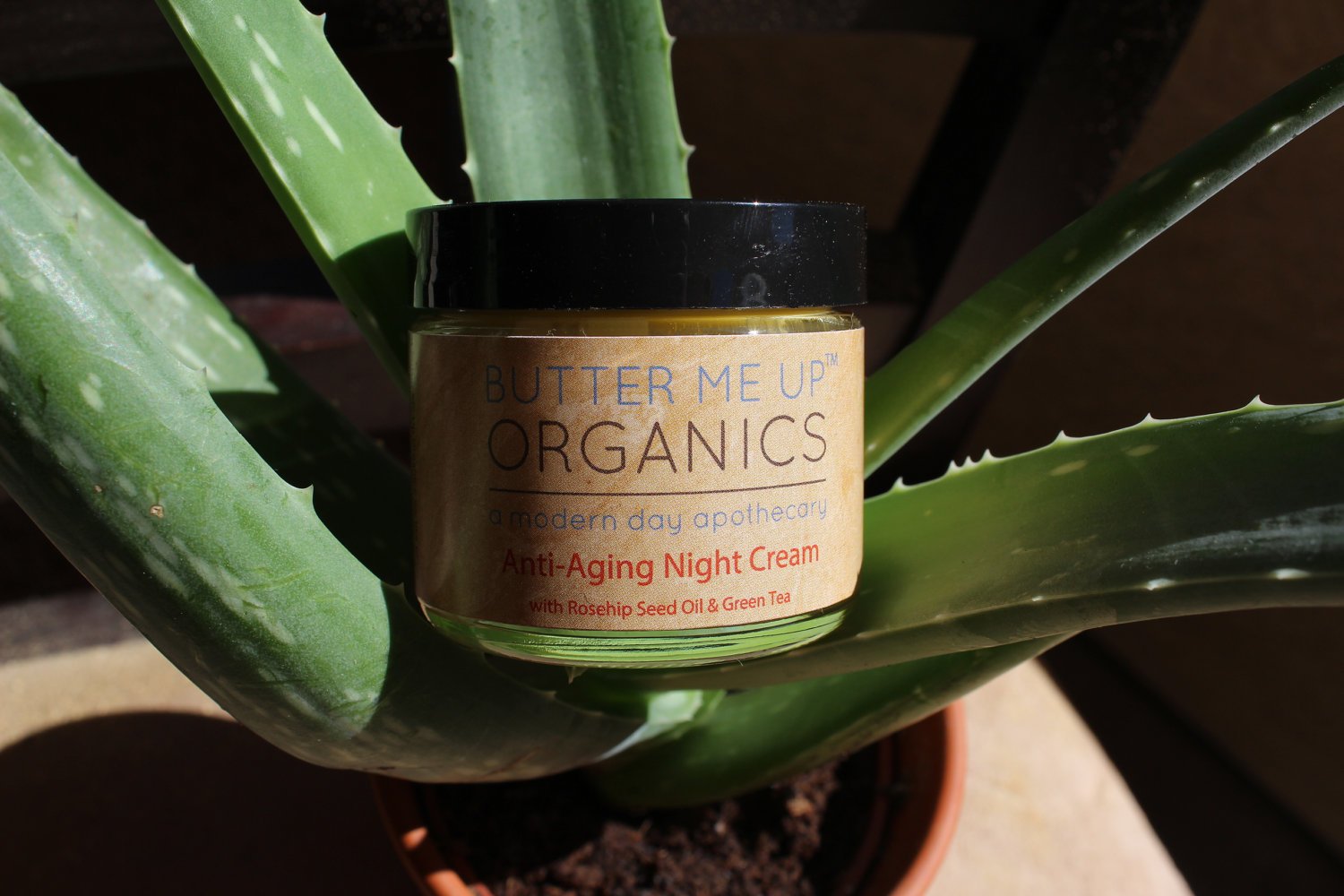Green Tea Anti-Aging Night Cream
