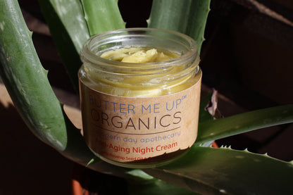 Green Tea Anti-Aging Night Cream