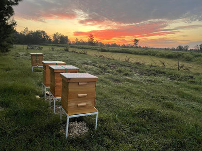 Whipped Cream Raw Honey
