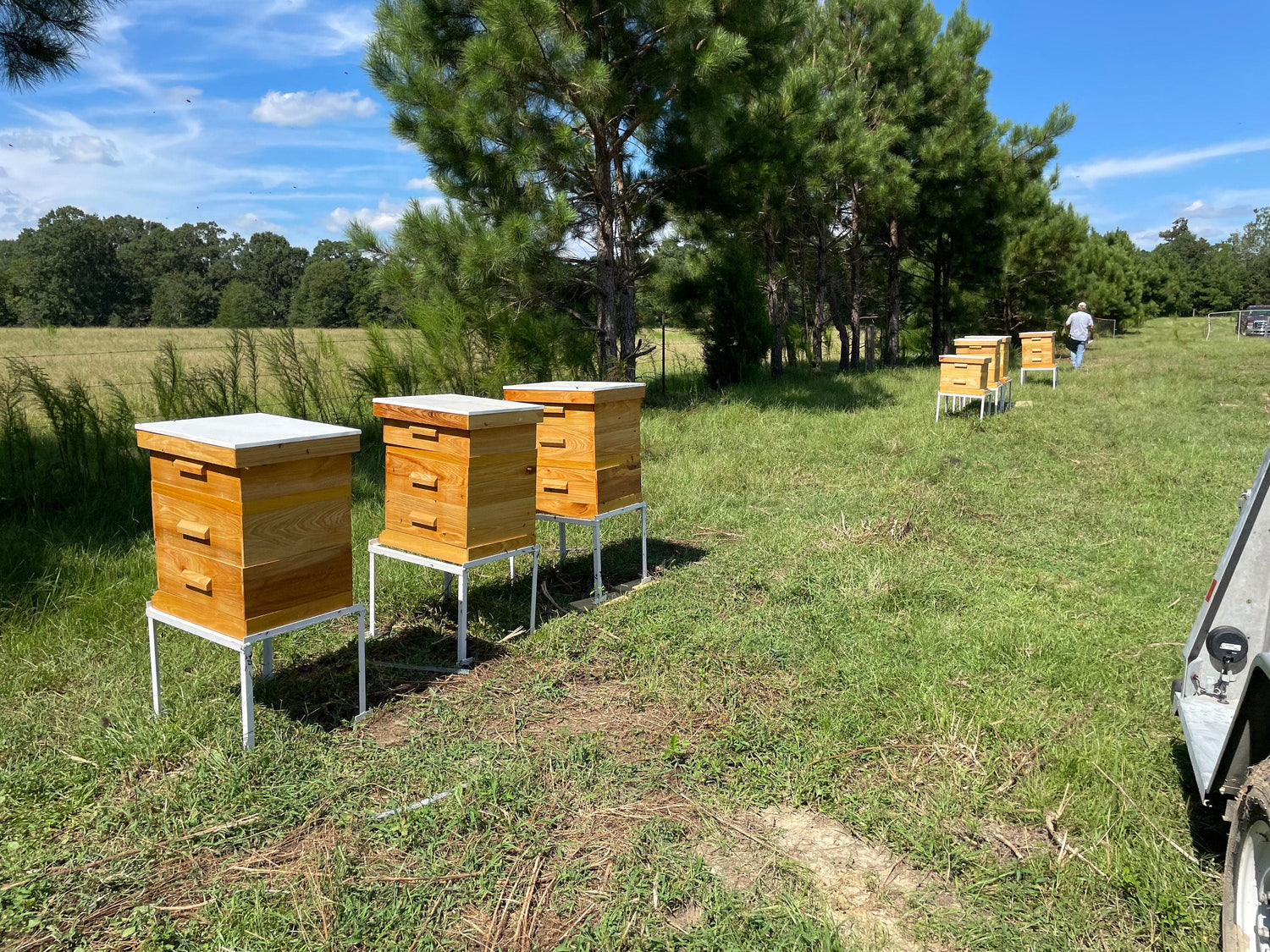 Mississippi Hot Honey