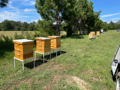 Mississippi Hot Honey