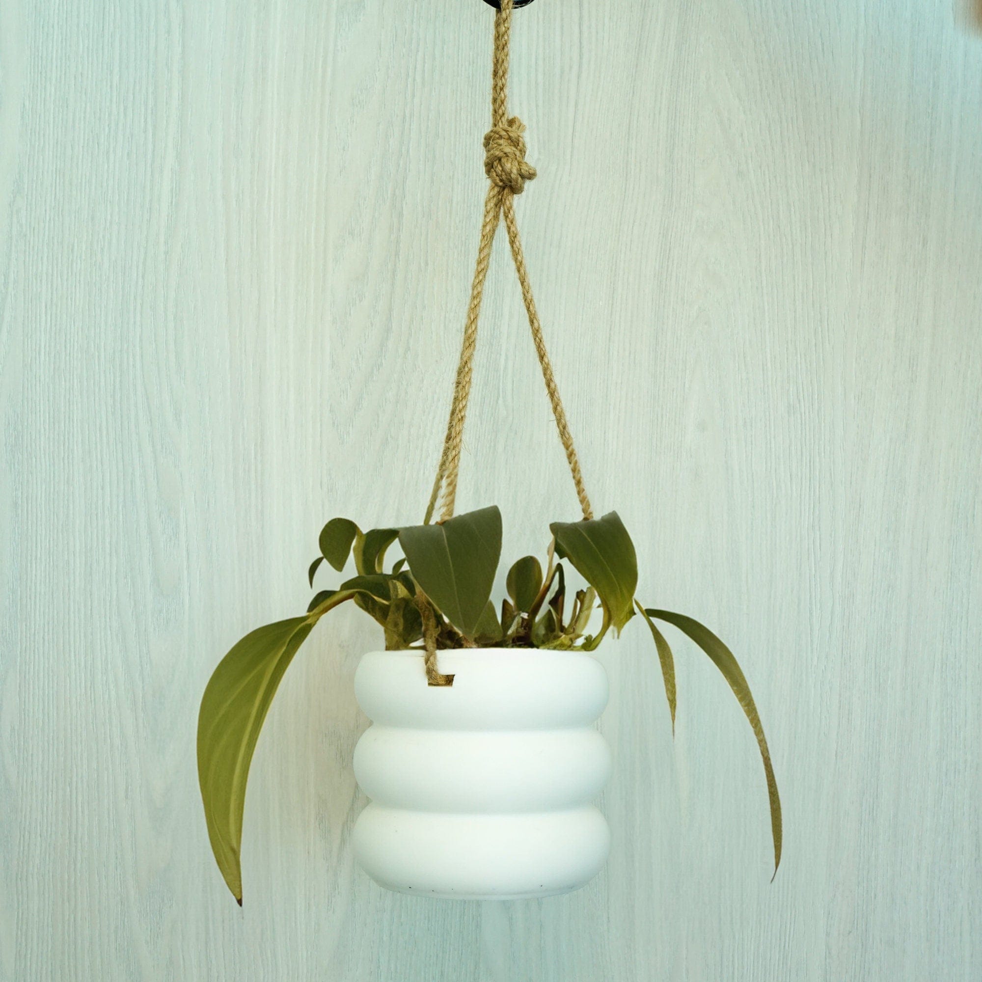Rosebud HomeGoods Hanging Bubble Plant Pot