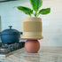 Rosebud HomeGoods BALL Unique Plant Stand