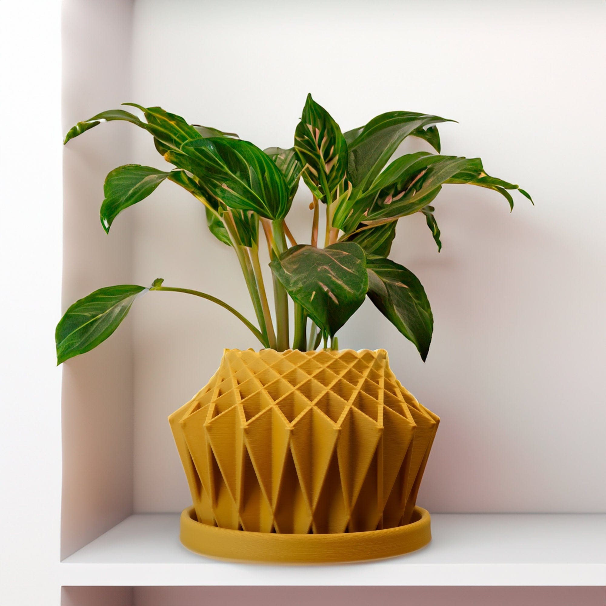 Rosebud HomeGoods Pots &amp; Planters Mustard / 4 Inch - No Tray Galaxy Groove Plant Pot