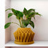 Rosebud HomeGoods Pots & Planters Mustard / 4 Inch - No Tray Galaxy Groove Plant Pot
