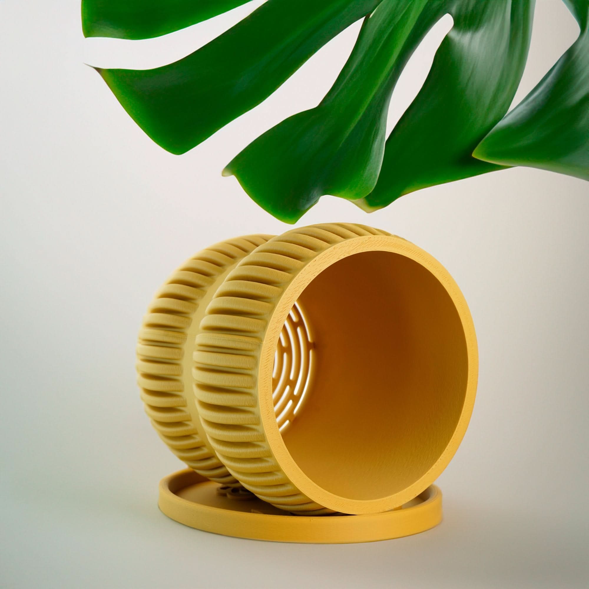 Rosebud HomeGoods Pots &amp; Planters Mustard / 4 Inch - No Tray Aureus Planter with Drainage
