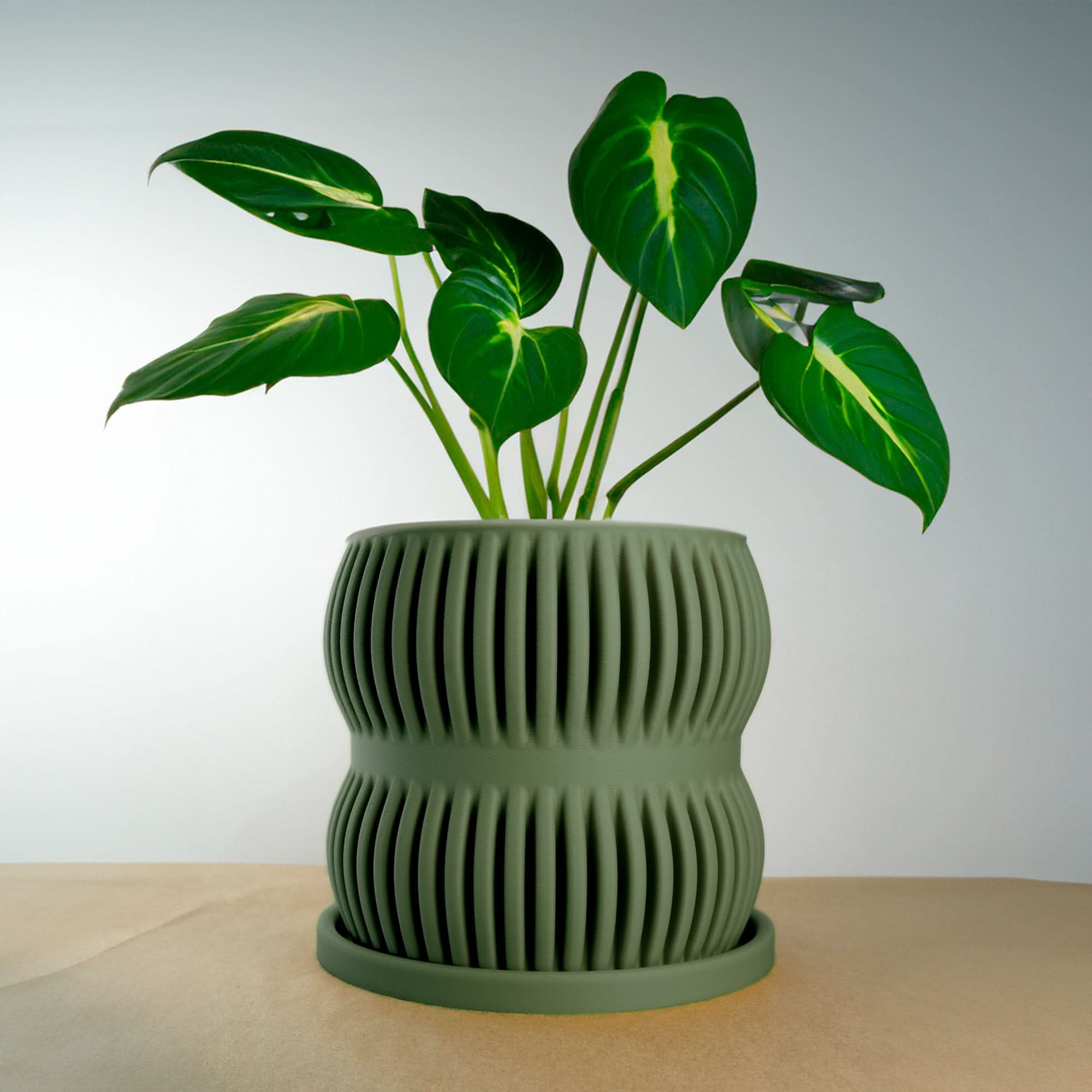 Rosebud HomeGoods Pots &amp; Planters Green / 4 Inch - No Tray Aureus Planter with Drainage