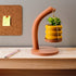 3" Hanging Bubble With Tray & Holder - My American Goods