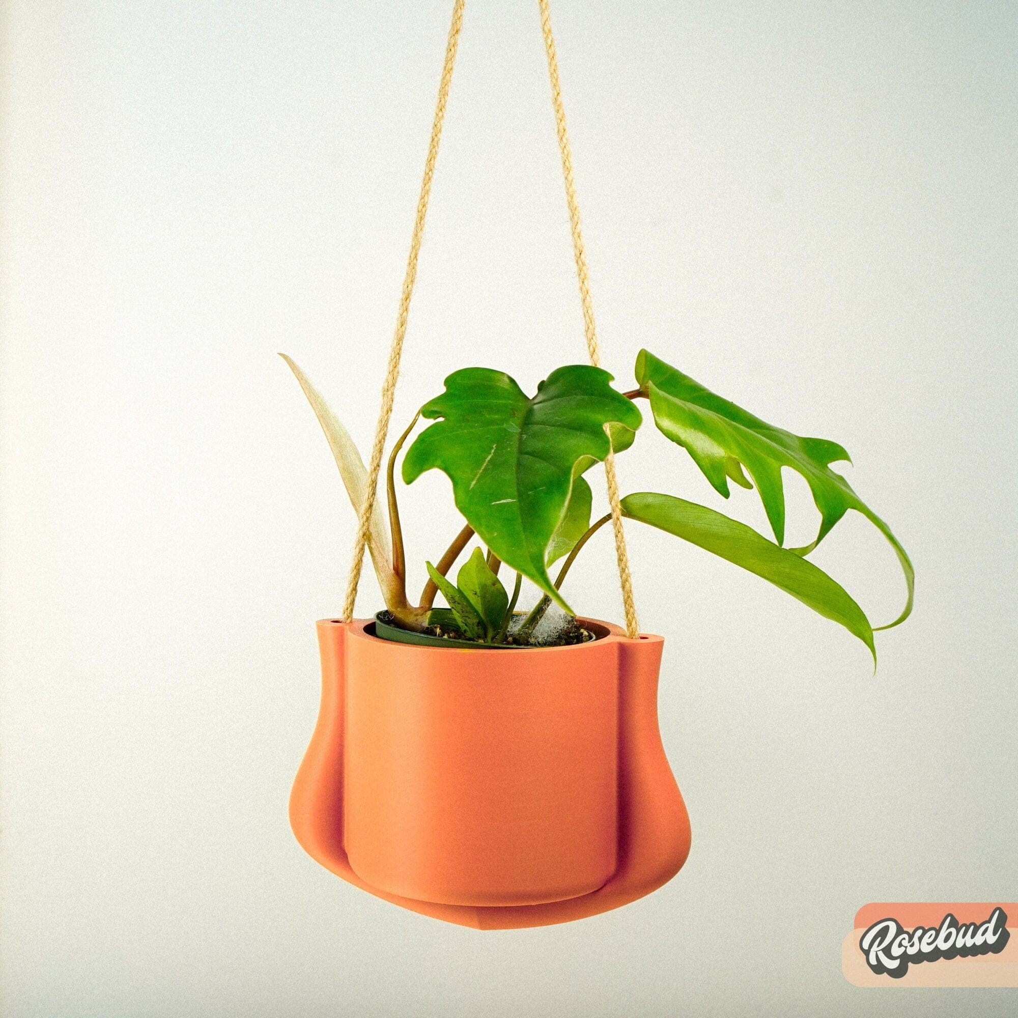 Rosebud HomeGoods Planter Hanging Planter - The Elysian