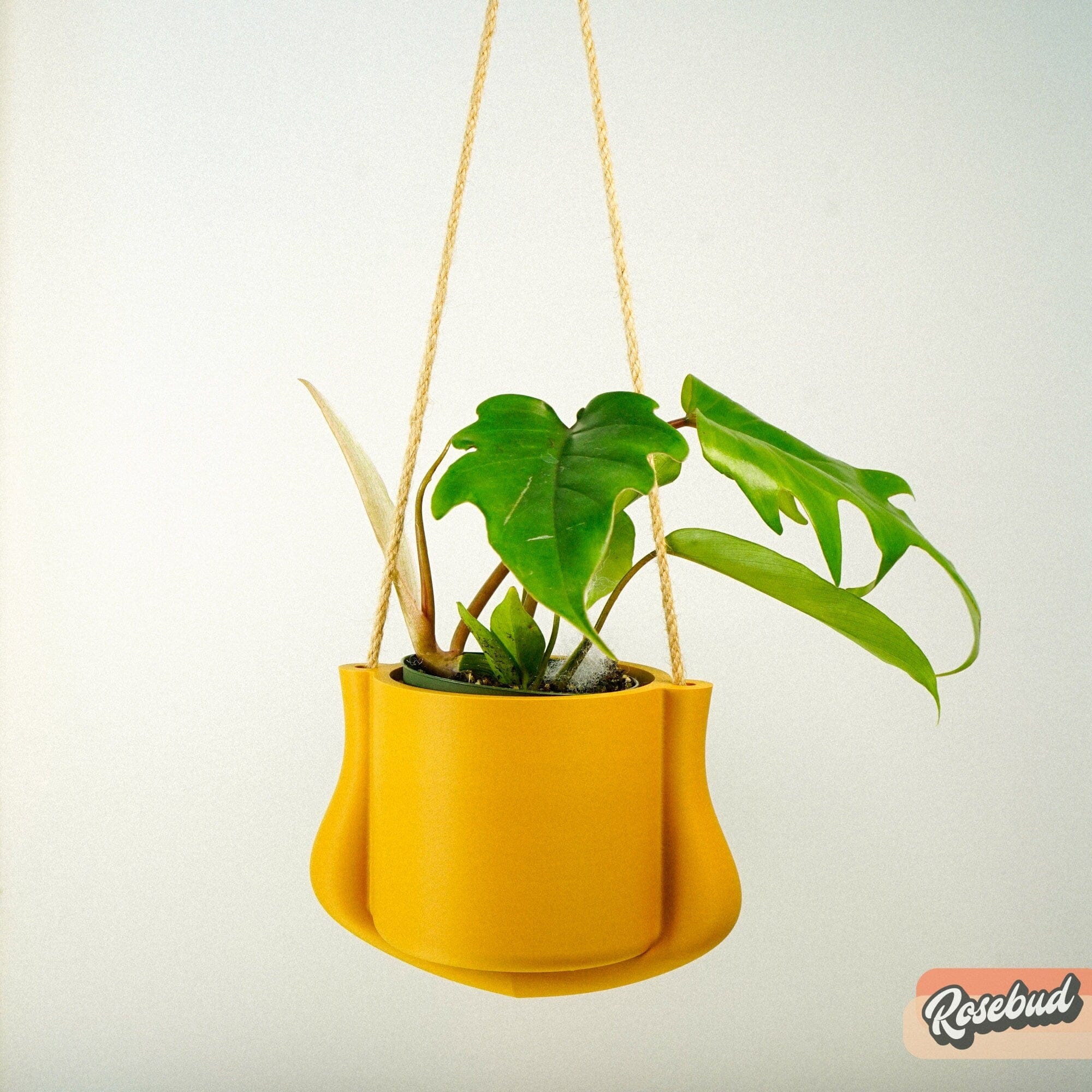 Rosebud HomeGoods Planter Hanging Planter - The Elysian