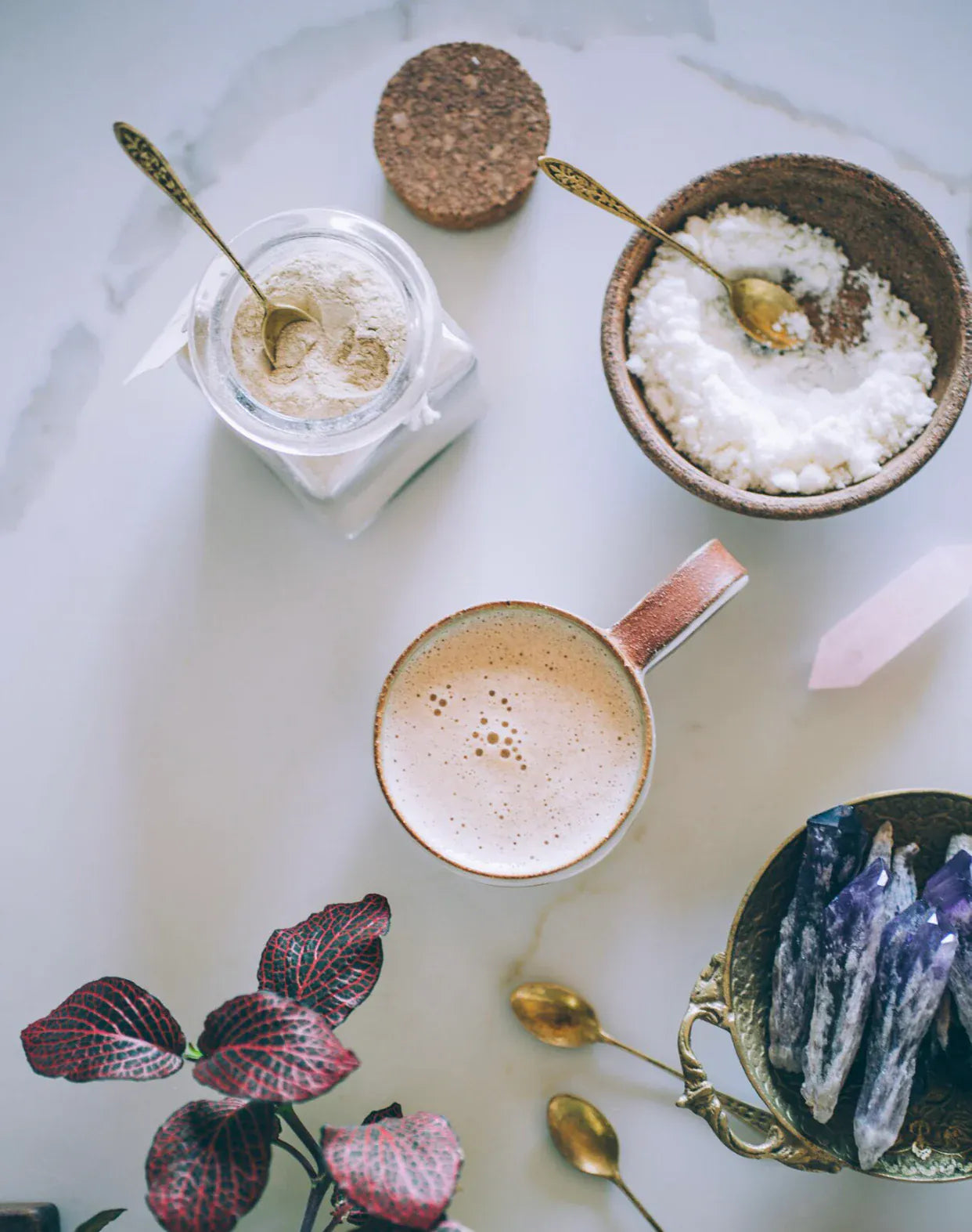 Anima Mundi creamer COCONUT CREAM | Dairy Free Creamer