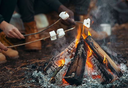 Campfire &amp; Fireflies Chai Soap Bar