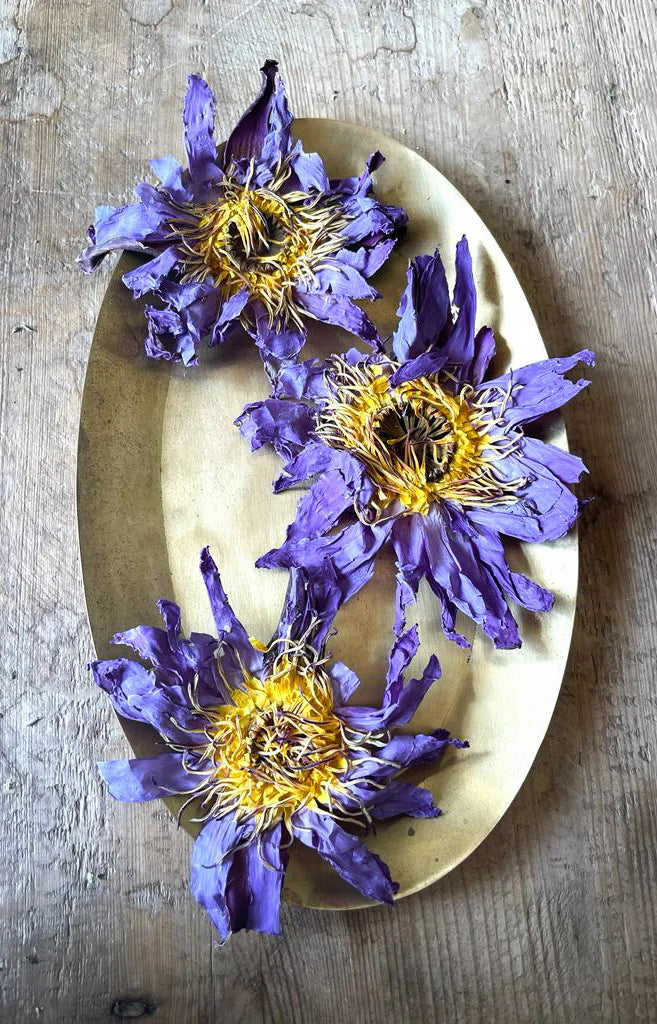 WHOLE BLUE FLOWERS | Blossoms of Intuition*