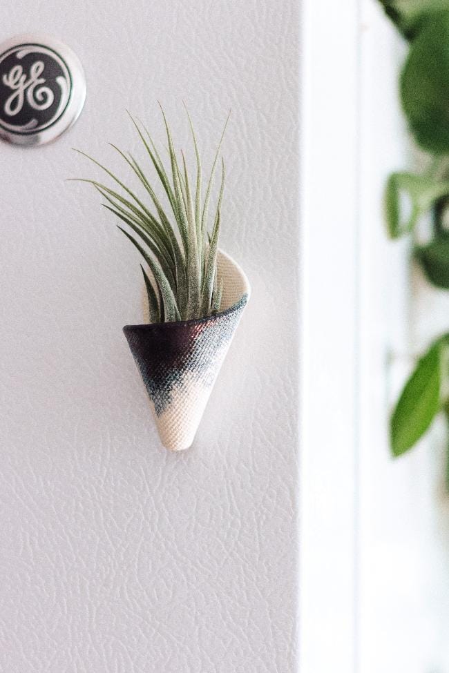 Carter + Rose Indigo / With plant Mini Wall Planter Magnet