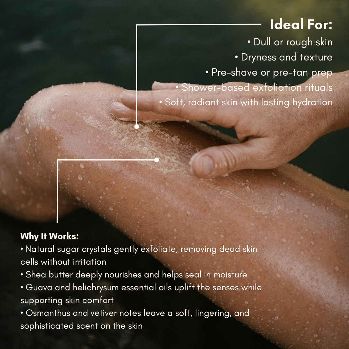 URB APOTHECARY BODY SCRUB Guava Helichrysum Illuminating Shea Body Scrub