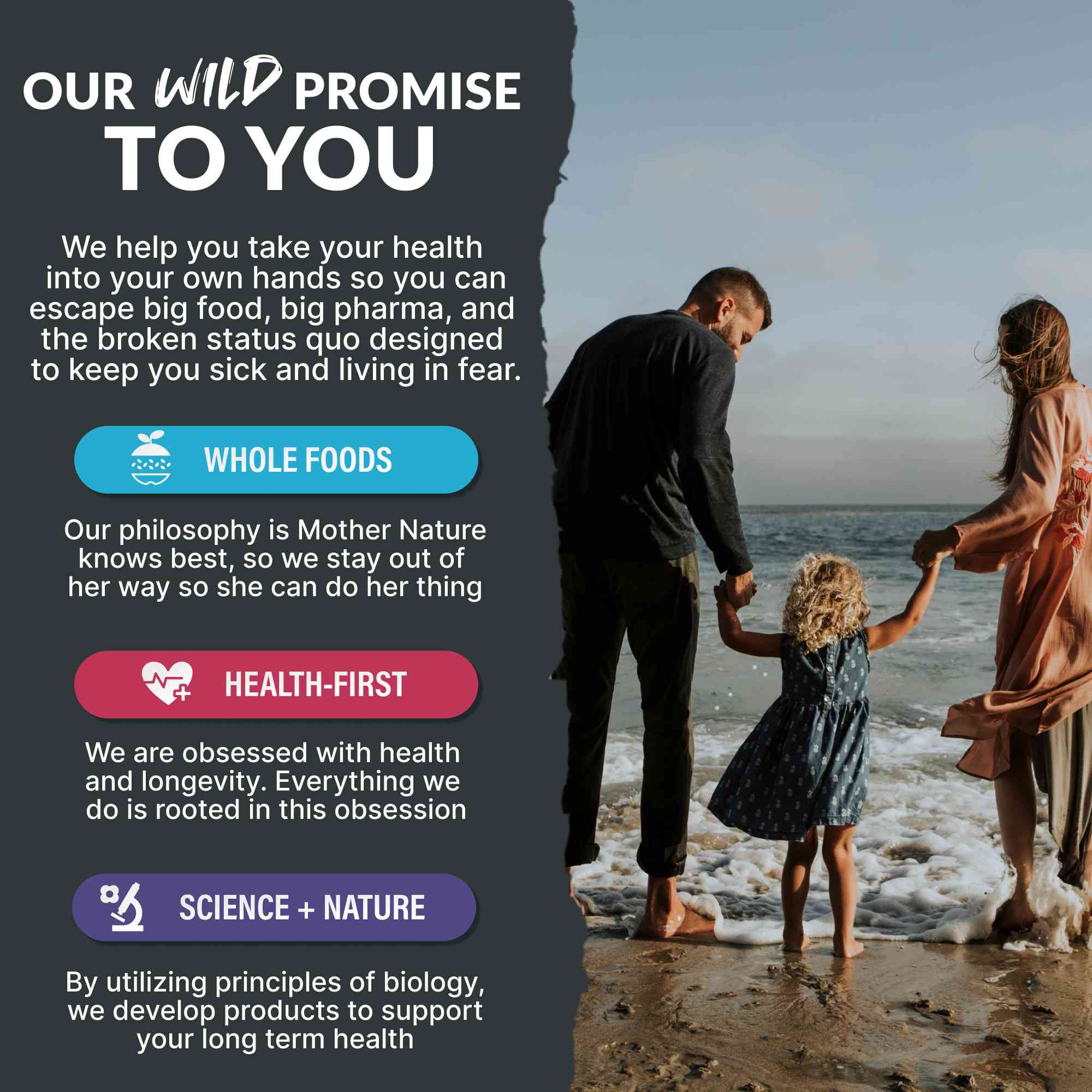 Wild Kids Multivitamin Gummies – Growth Support For Strong &amp; Healthy Kids - My American Goods