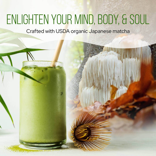 Matcha Green Tea with Lion's Mane - My American Goods