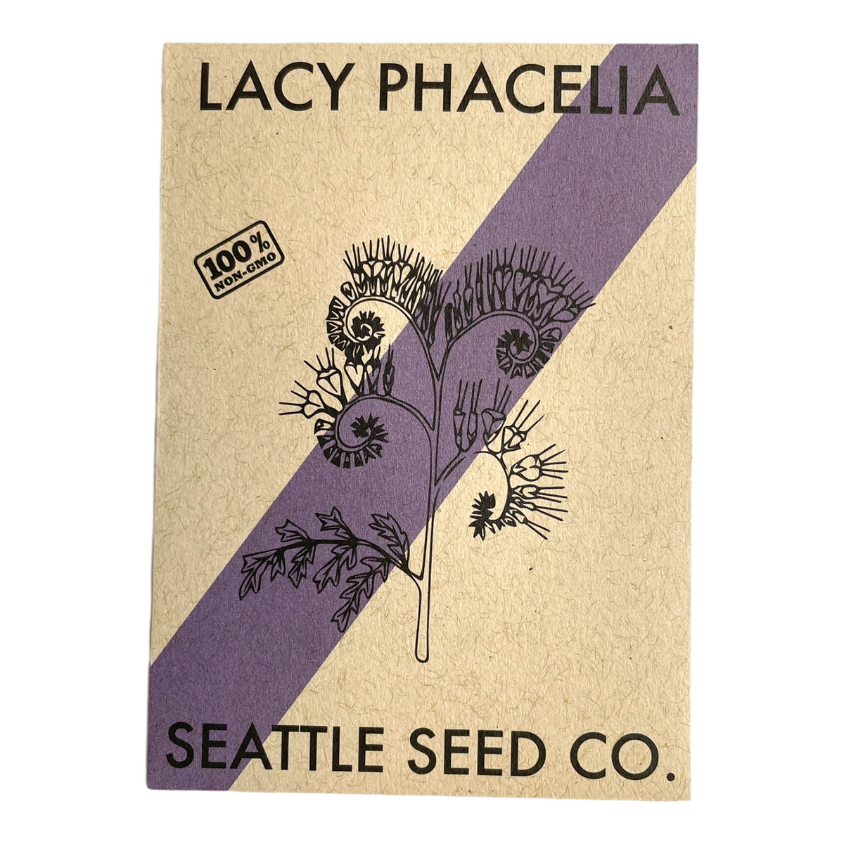 Lacy Phacelia Seeds