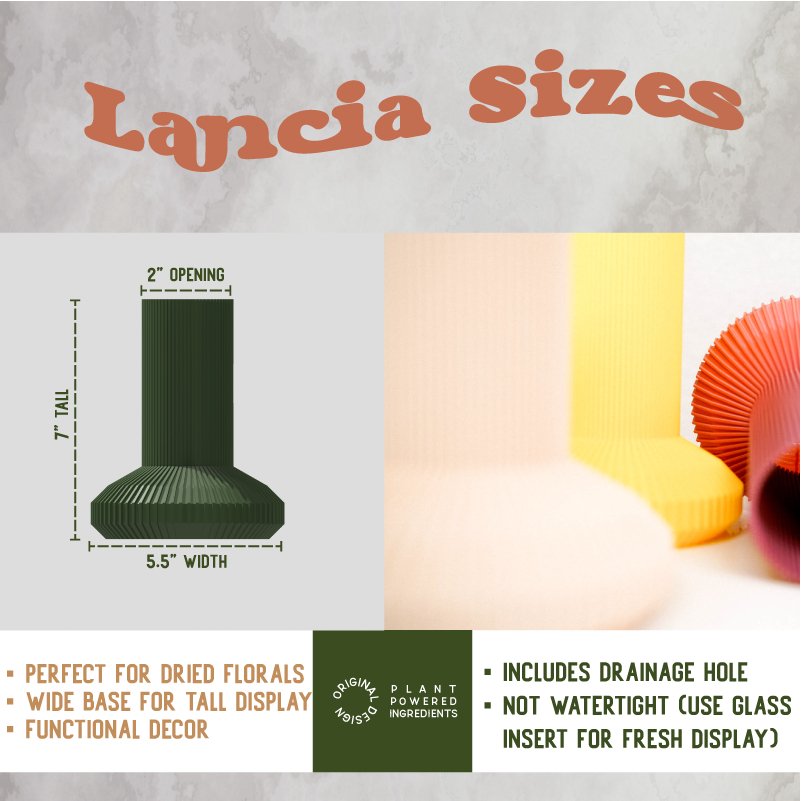 LANCIA Vase - My American Goods