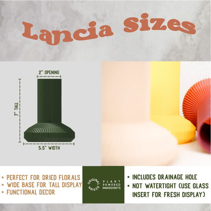 LANCIA Vase - My American Goods