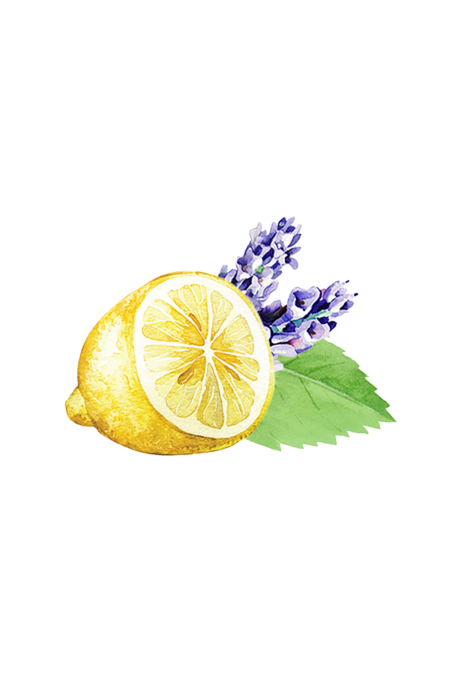 Lavender, Lemon &amp; Mint Essential Oil Blend