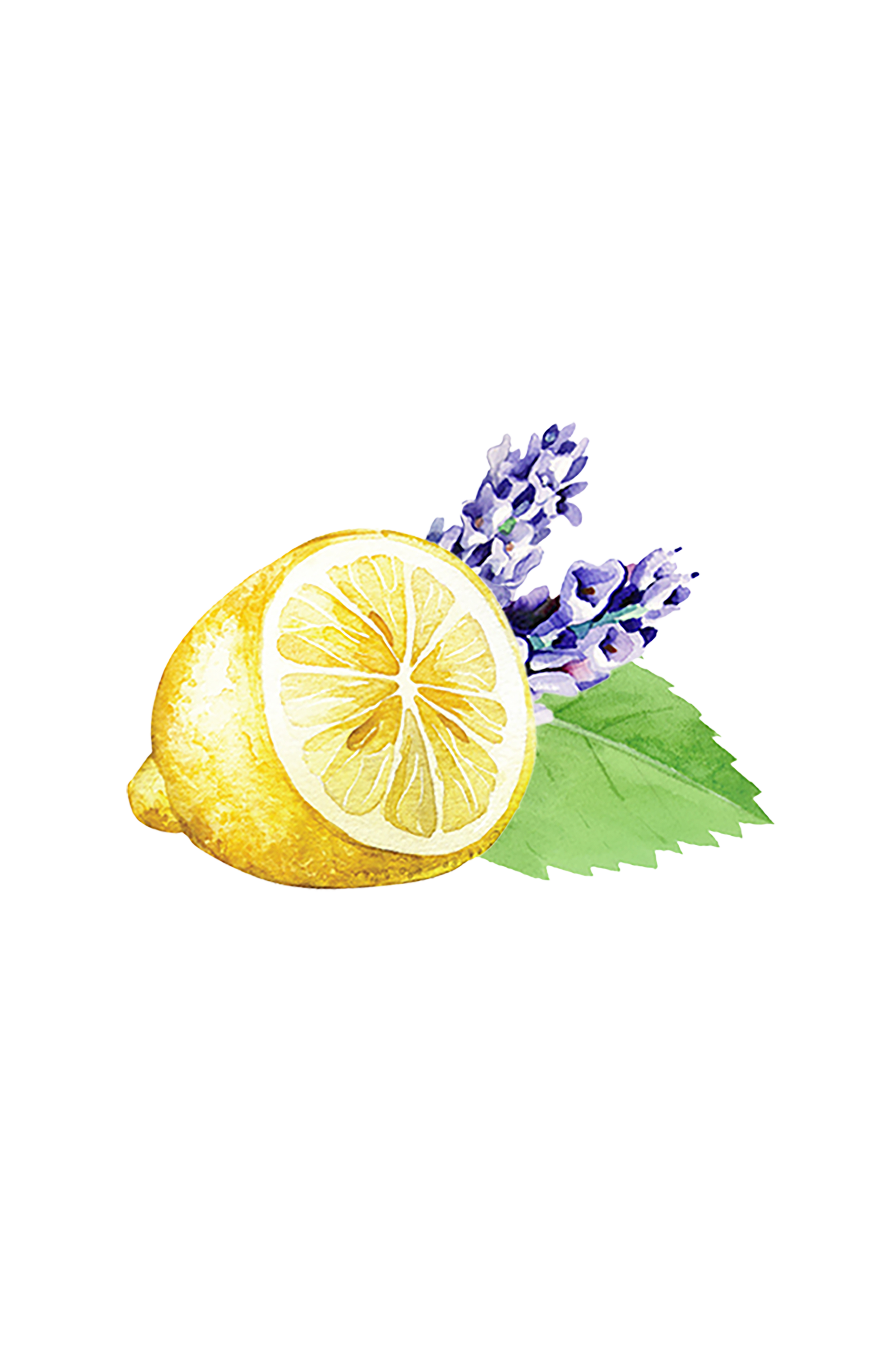 Lavender, Lemon &amp; Mint Essential Oil Blend