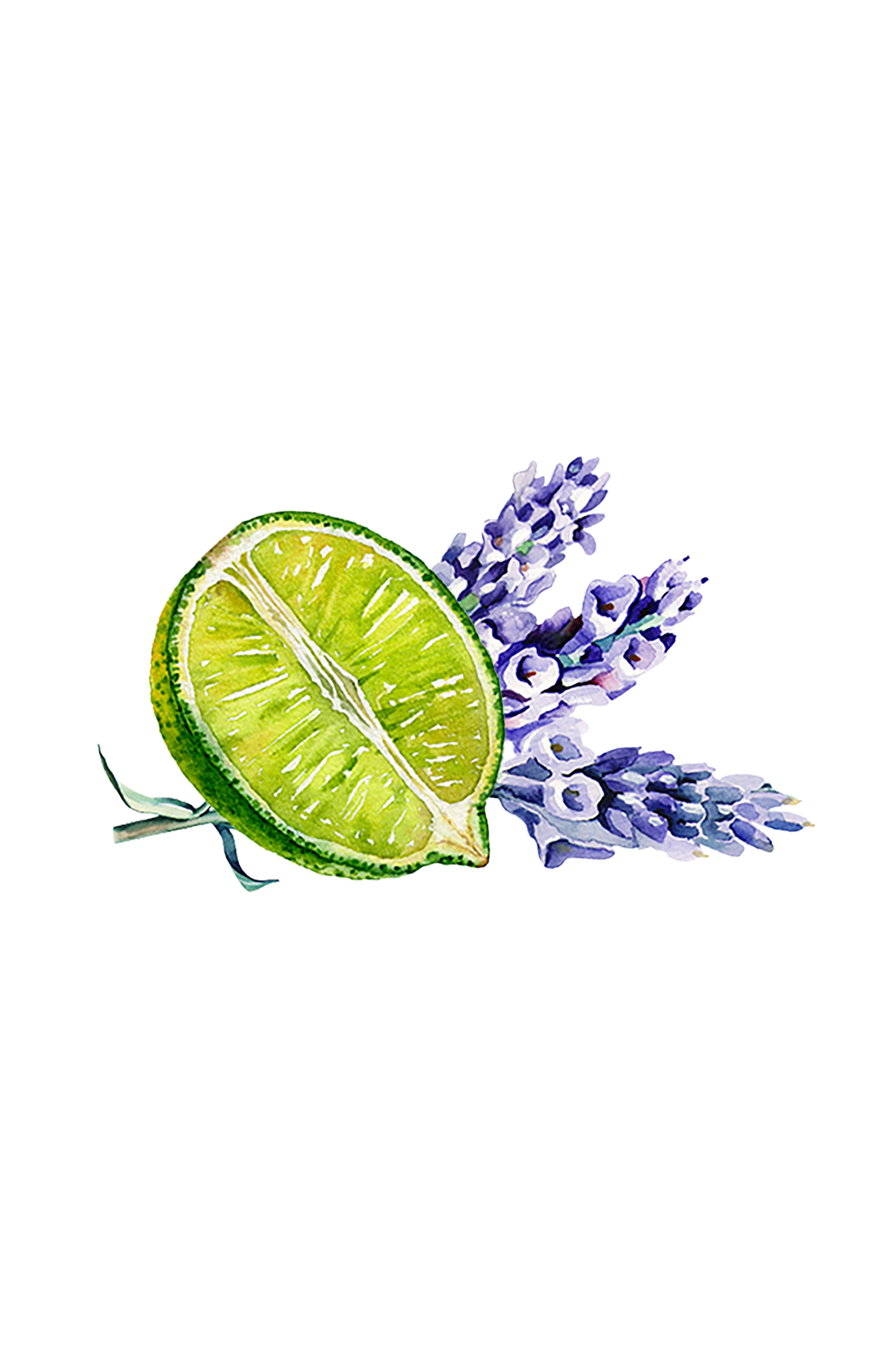 Lavender &amp; Lime Essential Oil Blend