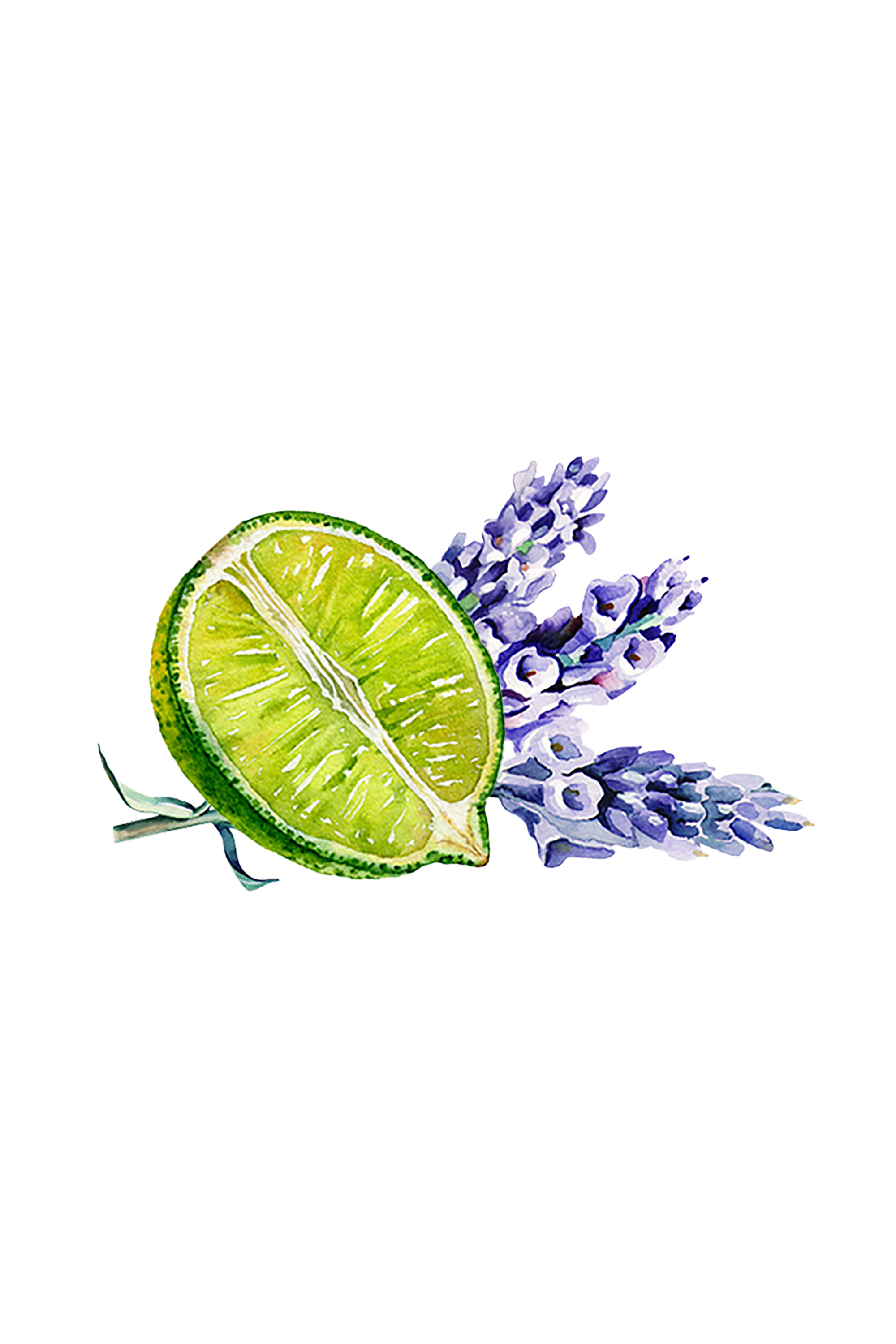 Lavender &amp; Lime Essential Oil Blend