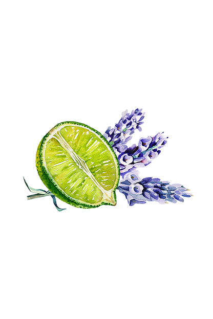 Lavender &amp; Lime Essential Oil Blend