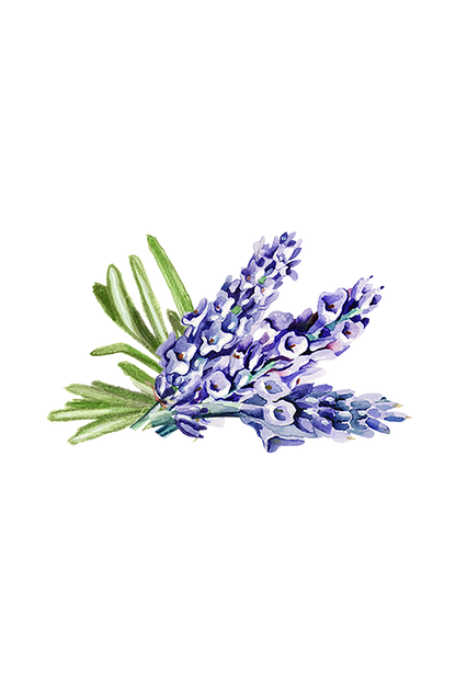 Lavender &amp; Rosemary Essential Oil Blend