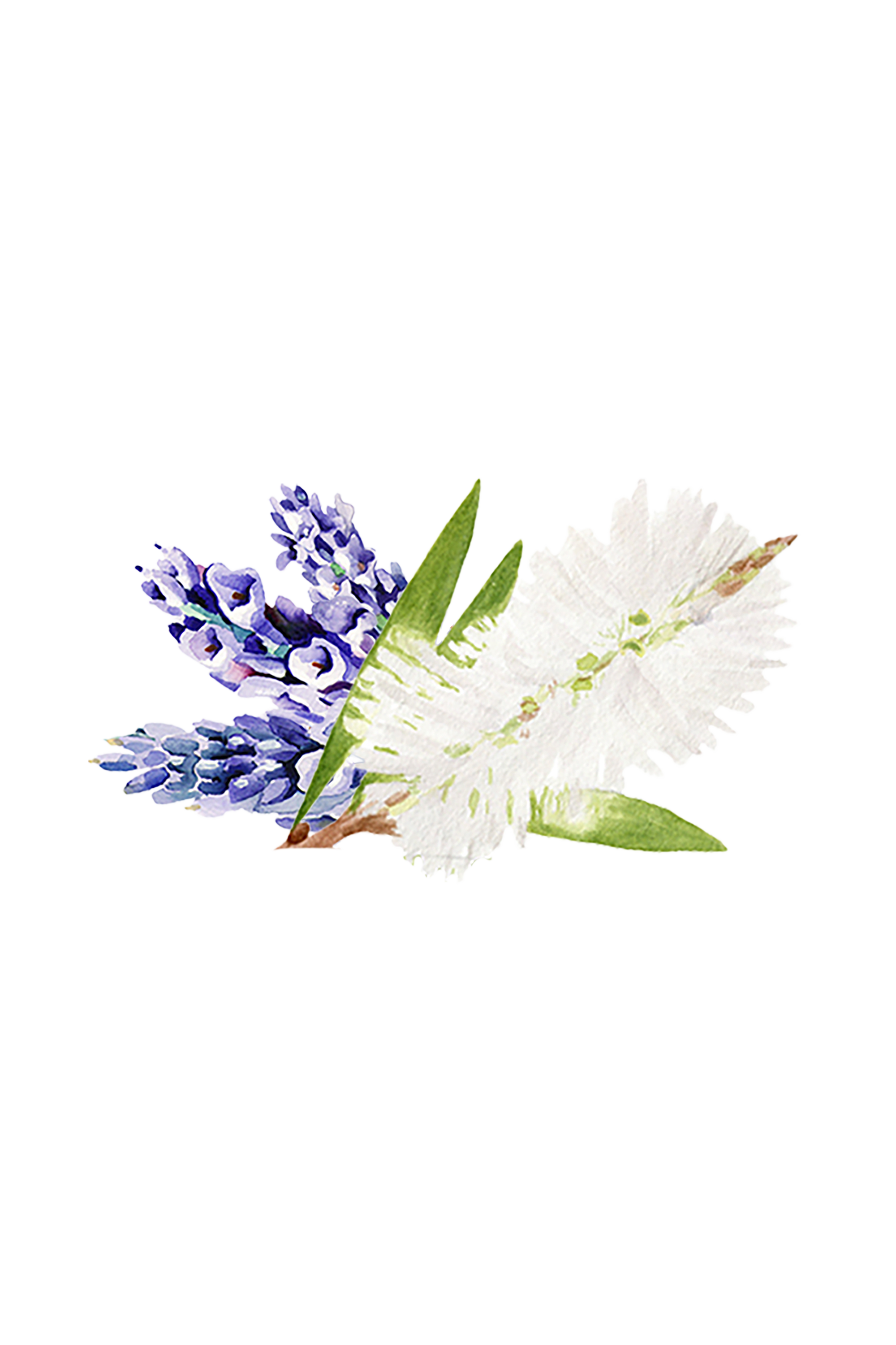 Moisturizing Body Wash | Lavender &amp; Tea Tree