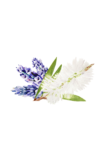 Soothing Shampoo | Lavender &amp; Tea Tree