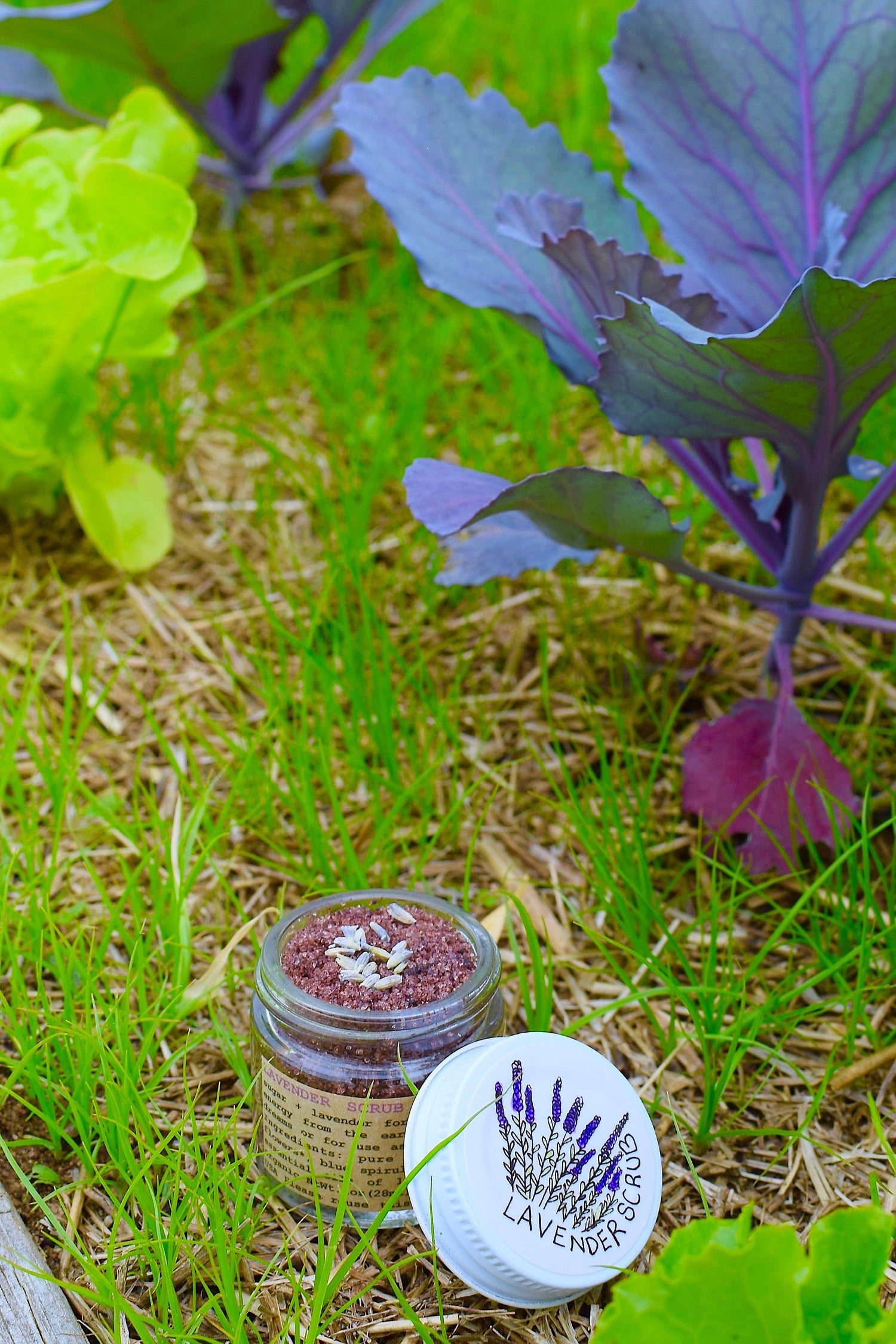 plant makeup Face Makeup Lavender Scrub