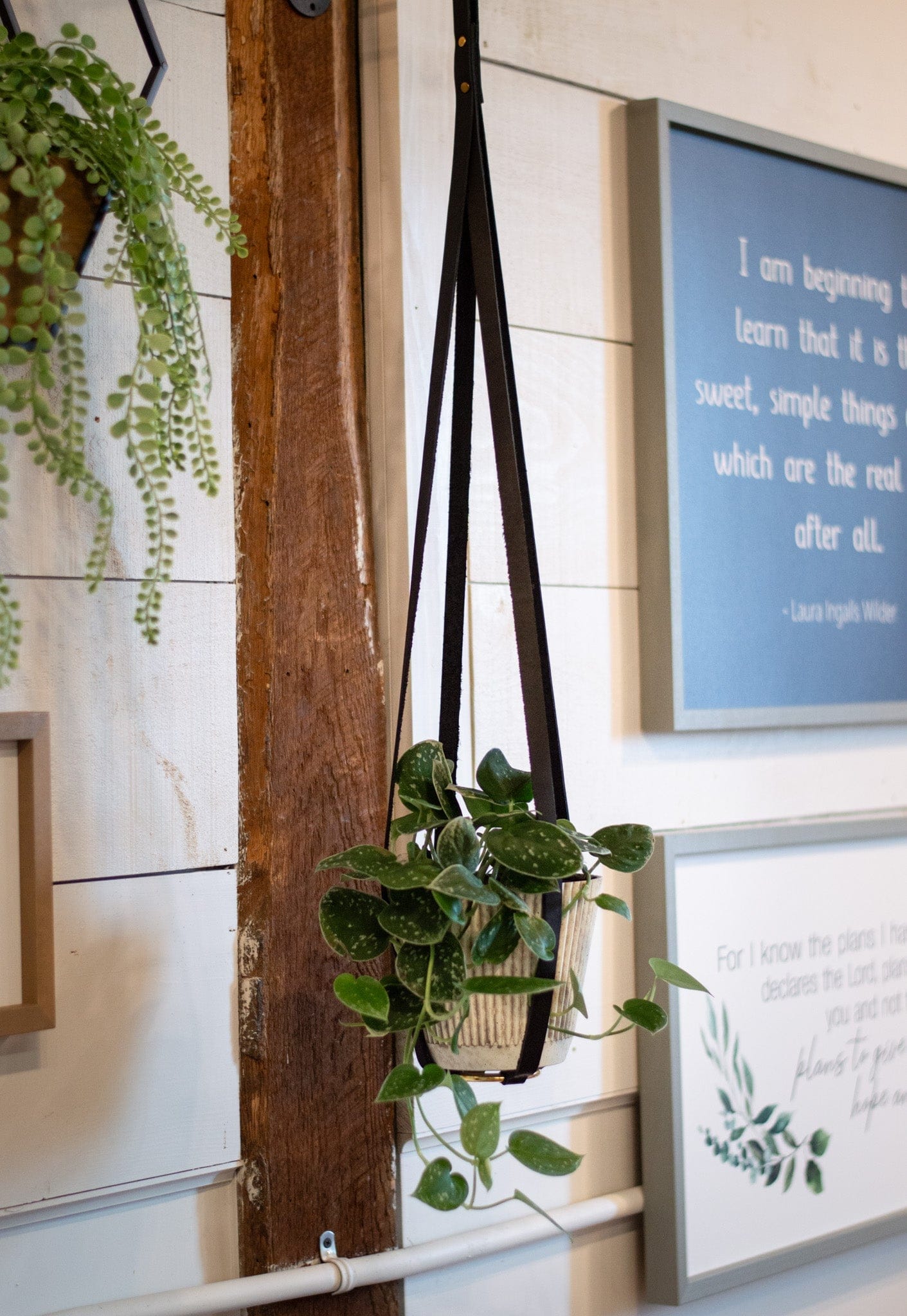 Urban Southern Black Leather Plant Hanger